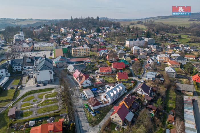 Prodej obchodního prostoru, Moravský Beroun, Dlouhá, 450 m2