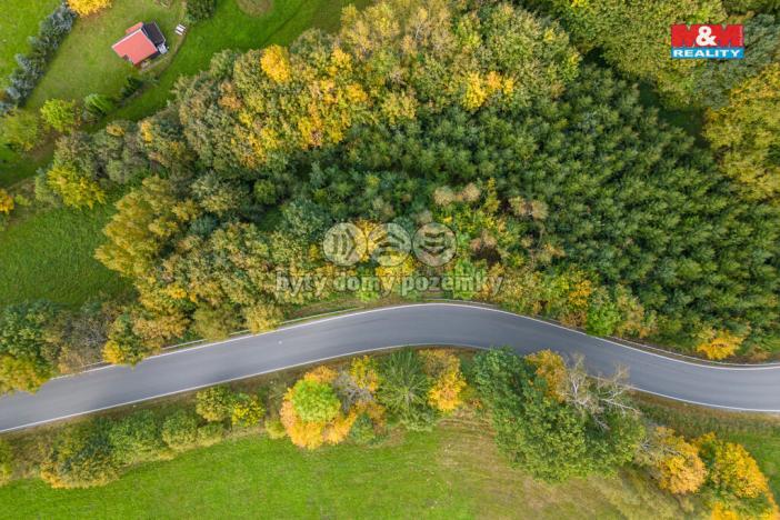 Prodej lesa, Kosov, 752 m2