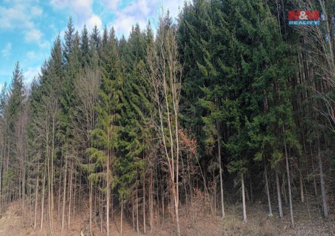 Prodej lesa, Vsetín - Rokytnice, 4785 m2