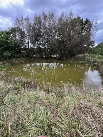 Prodej zemědělské usedlosti, Štědrá, 1787 m2