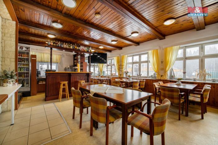 Prodej ubytování, Bartošovice v Orlických horách, 450 m2