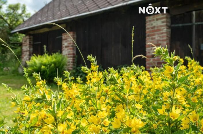 Prodej ubytování, Poniklá, 160 m2