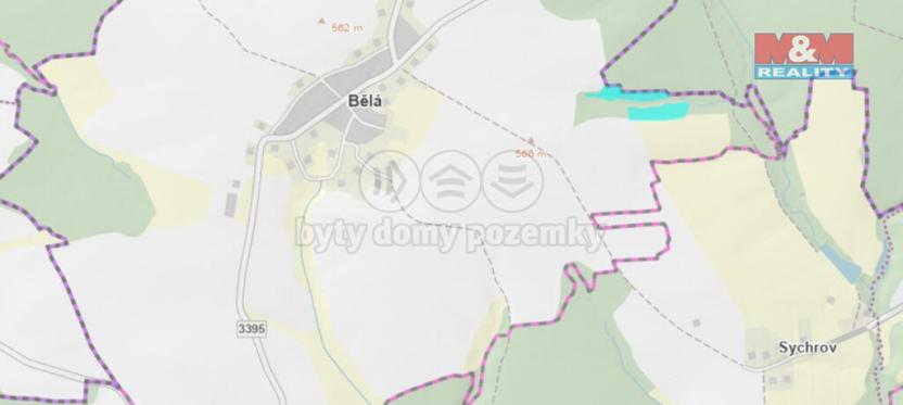 Prodej lesa, Bělá, 17628 m2