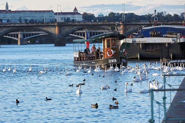 Prodej bytu 2+kk, Praha - Nusle, Bělehradská, 53 m2