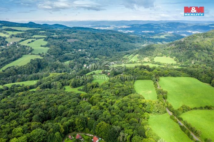 Prodej lesa, Homole u Panny - Suletice, 22174 m2