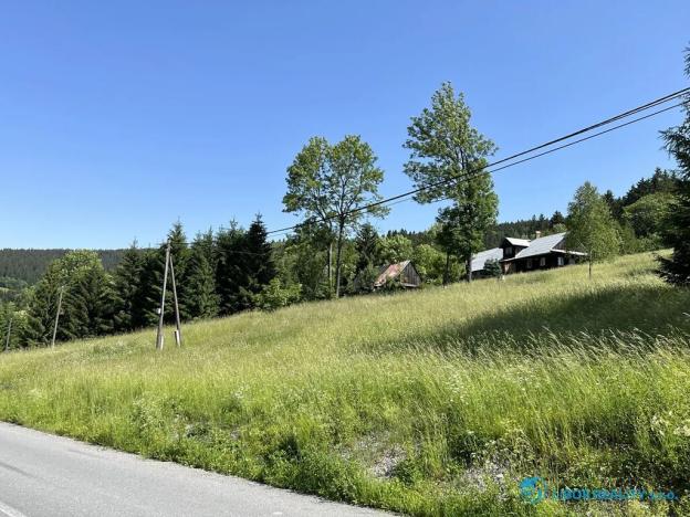 Prodej lesa, Krásná, 21810 m2