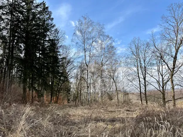 Prodej ubytování, Mšecké Žehrovice, 11412 m2