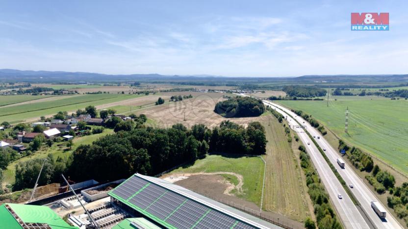 Prodej lesa, Olbramice, 10089 m2