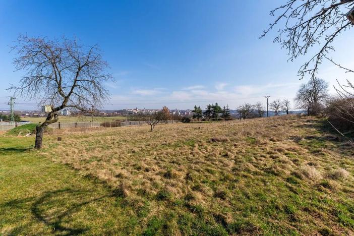 Prodej zahrady, Žatec, Chomutovská, 3807 m2