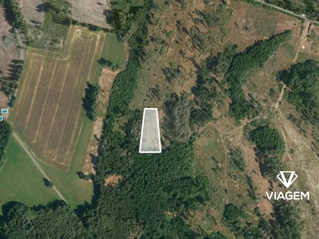 Prodej lesa, Studený, 2185 m2
