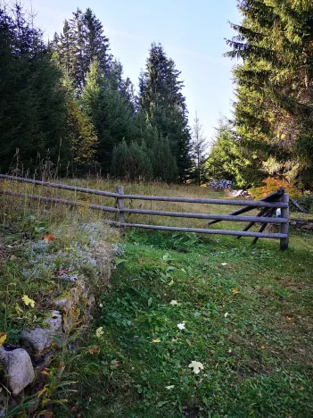 Prodej chalupy, Kvilda, 260 m2