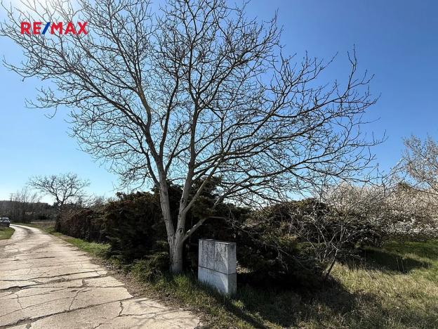 Prodej pozemku pro bydlení, Mělník, 2978 m2