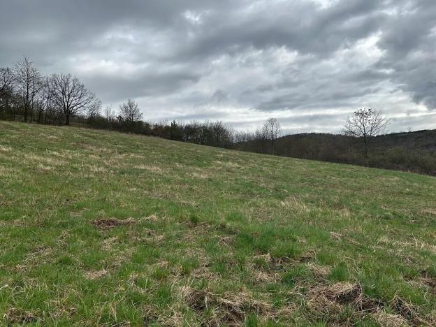 Prodej pozemku pro bydlení, Bžany, 3000 m2