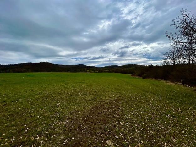 Prodej pozemku pro bydlení, Bžany, 9483 m2