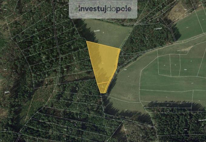Prodej louky, Pracejovice - Makarov, 1384 m2