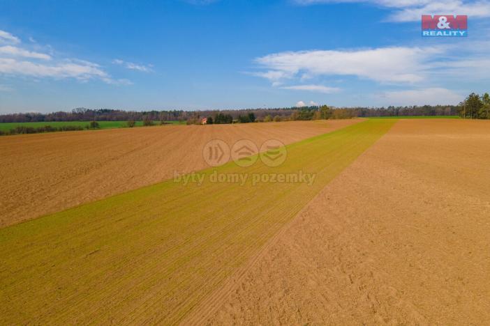 Prodej pole, Tlučná, 9418 m2