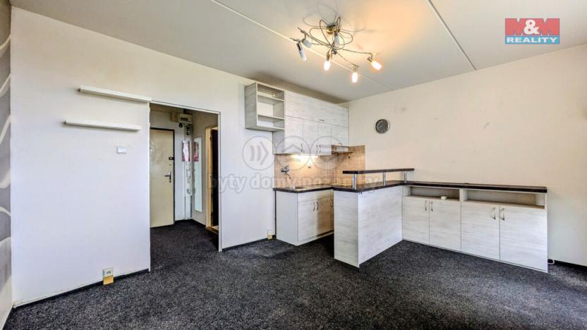 Prodej bytu 1+kk, Praha - Troja, Svídnická, 28 m2