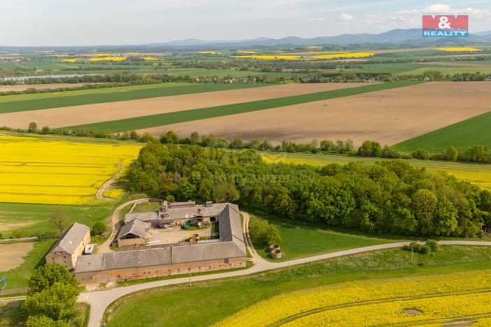 Prodej louky, Javorník - Bílý Potok, 2451 m2