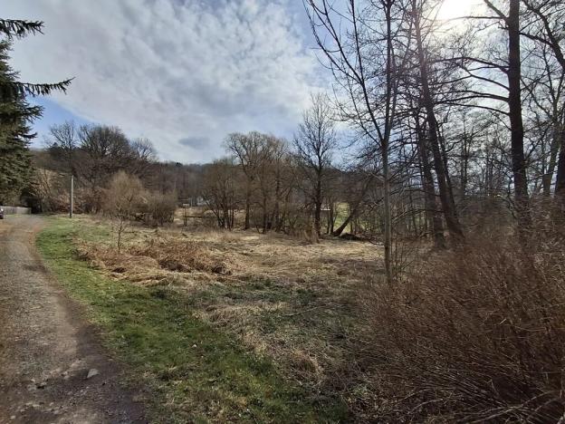 Prodej pozemku pro bydlení, Milíkov, 4644 m2