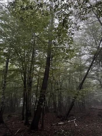 Prodej pozemku, Mladá Boleslav, 9466 m2