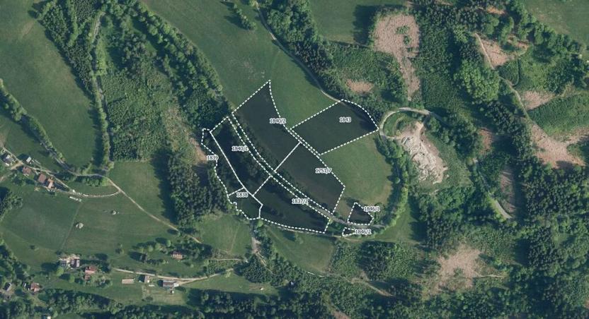 Prodej pole, Vysoké nad Jizerou, 21482 m2