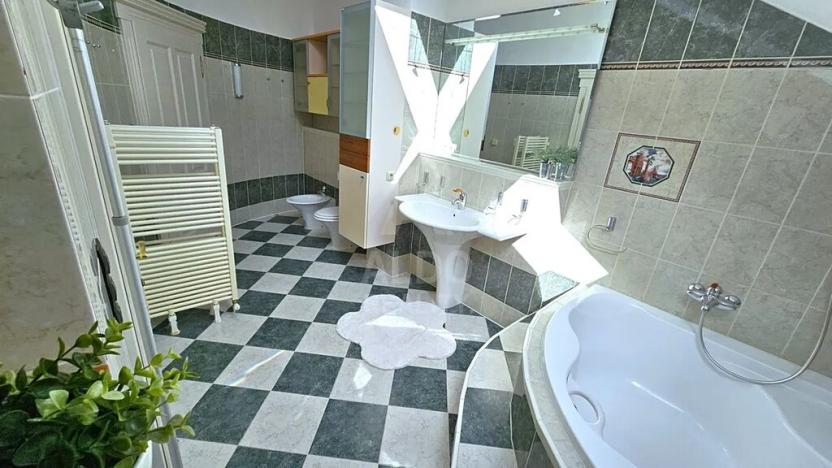 Prodej atypického bytu, České Budějovice, B. Smetany, 255 m2