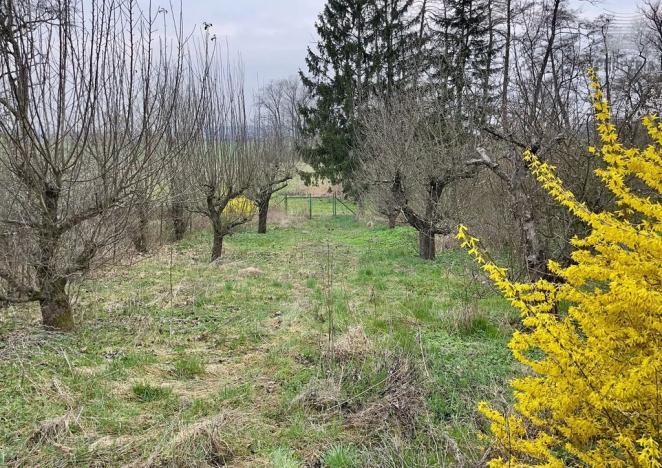 Prodej pozemku pro bydlení, Brno, Požární, 1445 m2