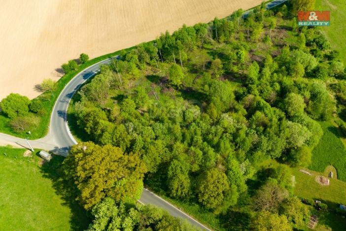 Prodej louky, Mikulovice, 4228 m2