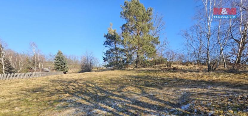 Prodej louky, Lipová - Seč, 524 m2