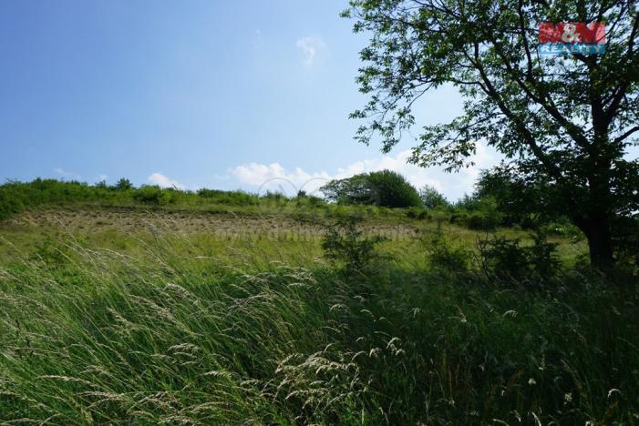 Prodej pozemku pro bydlení, Sobětuchy, 5749 m2