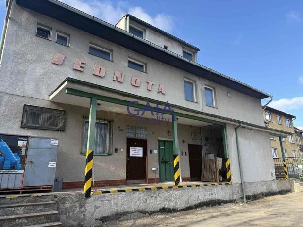 Prodej obchodního prostoru, Staré Město pod Landštejnem, 307 m2