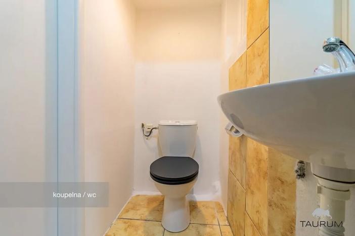 Prodej bytu 2+kk, Plzeň, Lipová, 60 m2