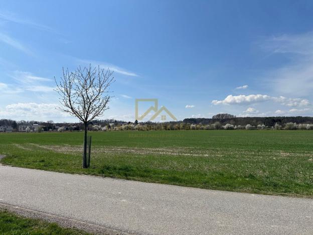Prodej pole, Boršov nad Vltavou, 9981 m2