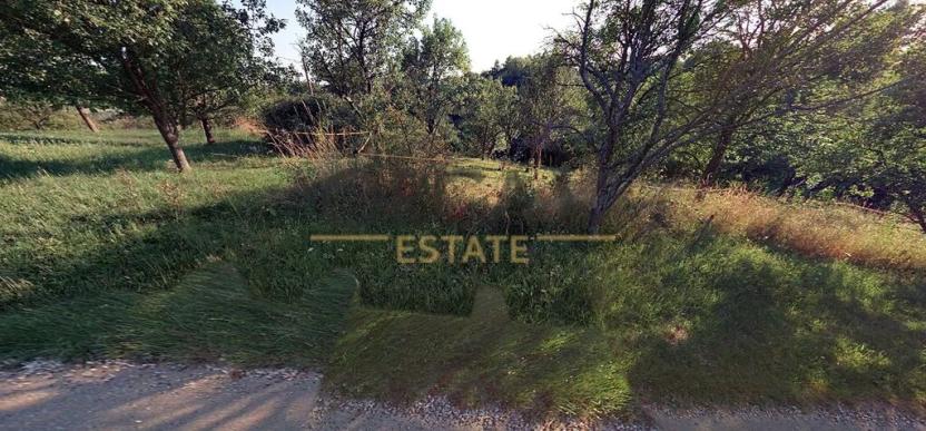 Prodej louky, Medlovice, 2466 m2