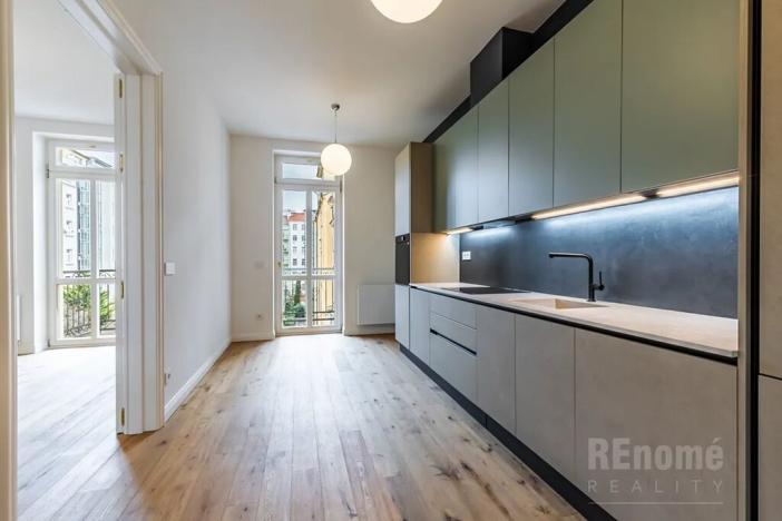Pronájem bytu 4+kk, Praha - Vinohrady, Třebízského, 115 m2