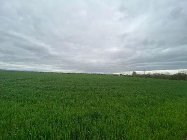 Prodej komerčního pozemku, Brno, 9415 m2