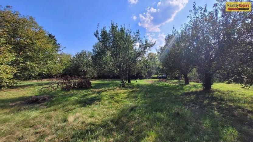 Prodej pozemku pro bydlení, Chotilsko, 2469 m2