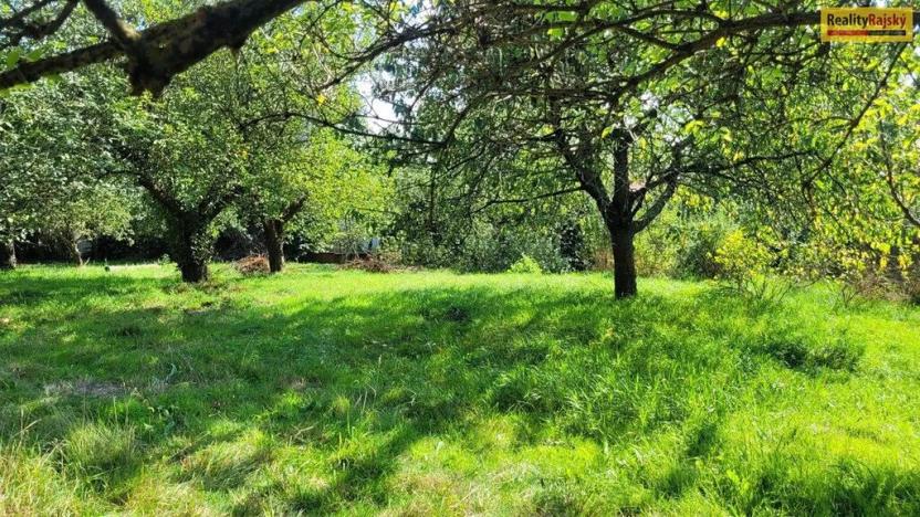 Prodej pozemku pro bydlení, Chotilsko, 2469 m2