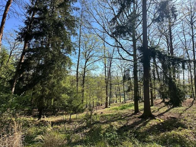 Prodej chaty, Štěchovice, 170 m2