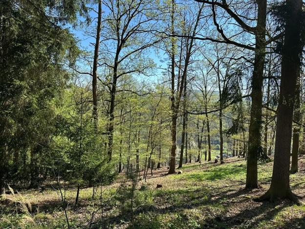 Prodej chaty, Štěchovice, 170 m2