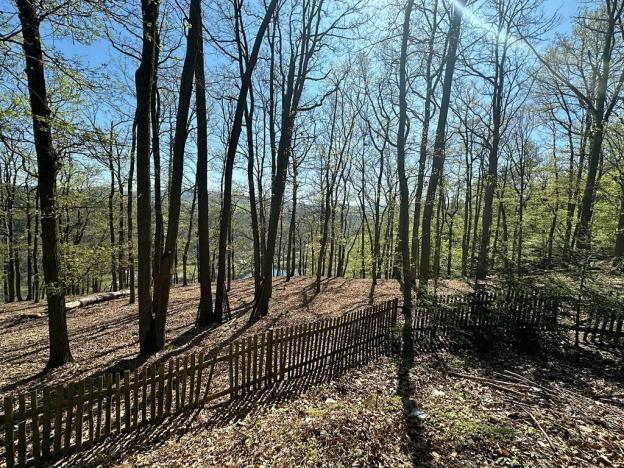 Prodej chaty, Štěchovice, 170 m2