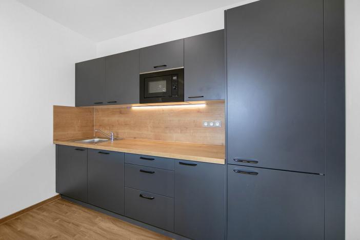 Pronájem bytu 1+kk, Zruč-Senec - Zruč, Sportovní, 62 m2