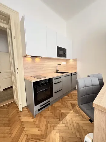Pronájem bytu 1+kk, Praha - Vinohrady, Mánesova, 42 m2