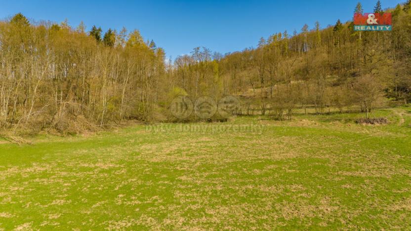 Prodej zahrady, Třebušín - Řepčice, 2841 m2