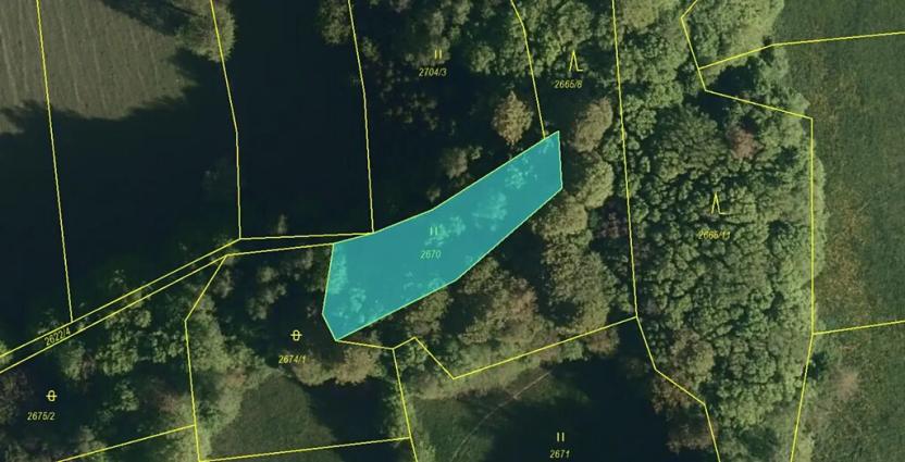 Prodej podílu louky, Valašská Polanka, 392 m2