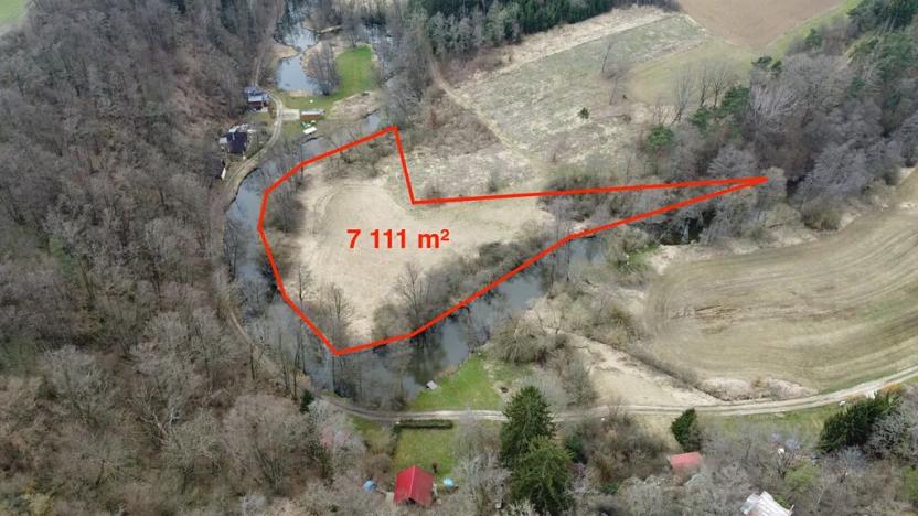 Prodej louky, Cizkrajov, 7111 m2