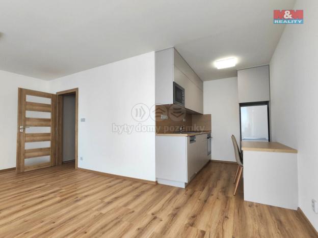 Pronájem bytu 1+kk, Brandýs nad Labem-Stará Boleslav - Brandýs nad Labem, Zahradnická, 33 m2