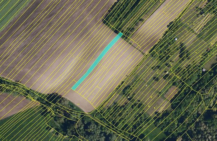 Prodej pole, Šitbořice, 16991 m2