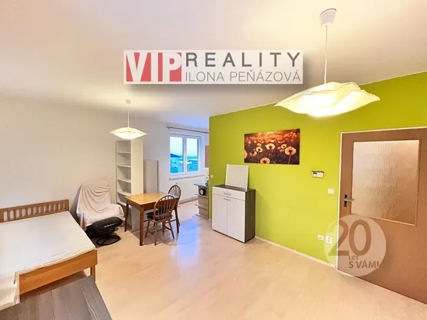 Pronájem bytu 1+kk, Brno, Bešůvka, 38 m2