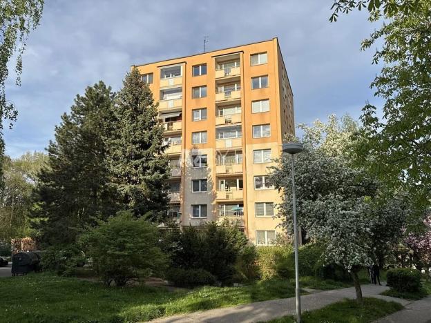 Pronájem bytu 2+1, Děčín, Školní, 51 m2